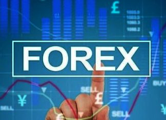 Sàn Forex trading giành cho người mới tập chơi