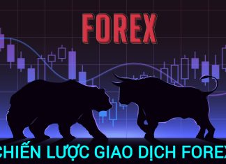 Chiến lược giao dịch forex là gì?