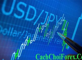 Giao dịch forex có phạm luật ở Việt Nam không?