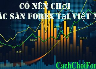 các sàn Forex tại Việt Nam