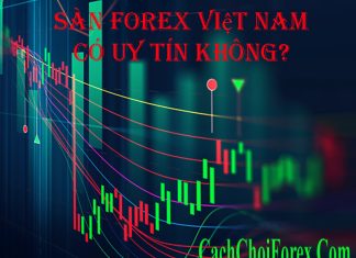 Sàn Forex Việt Nam