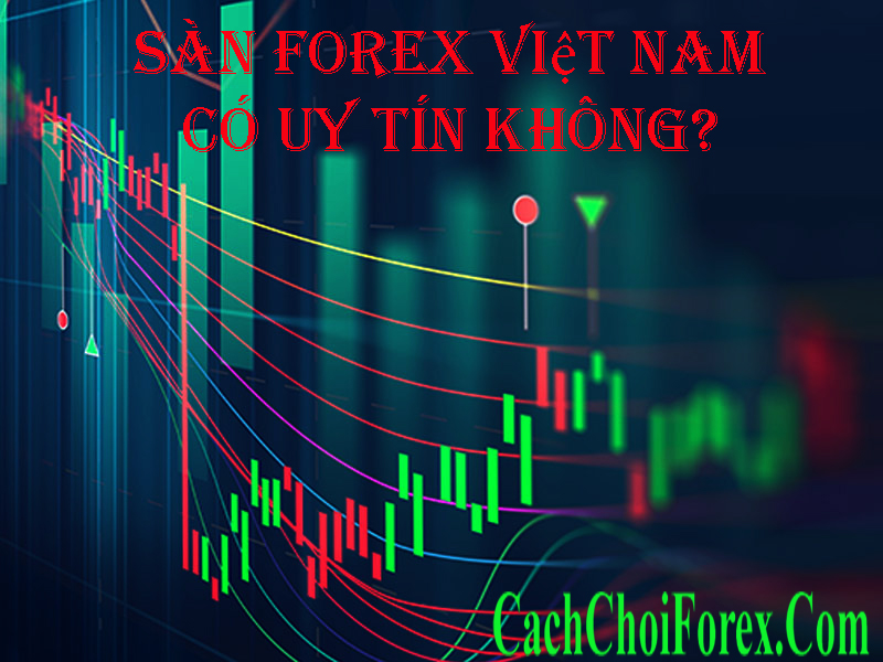 Sàn Forex Việt Nam